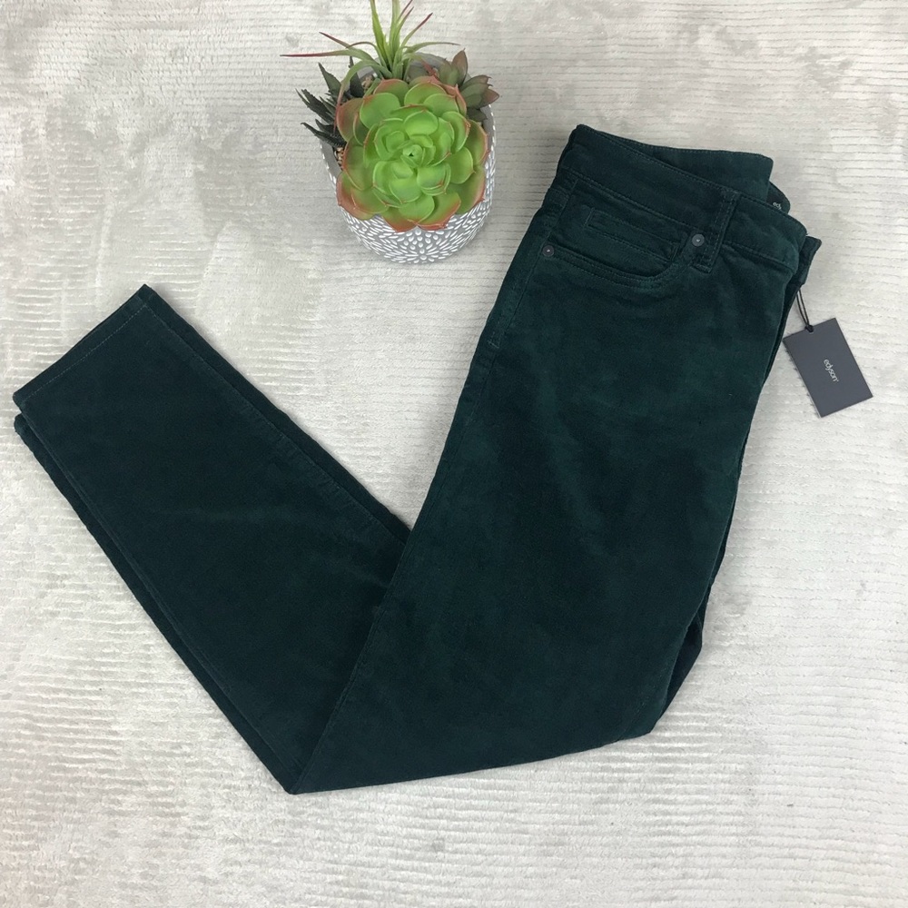 Edyson Hampton Skinny Pants - Stitch Fix